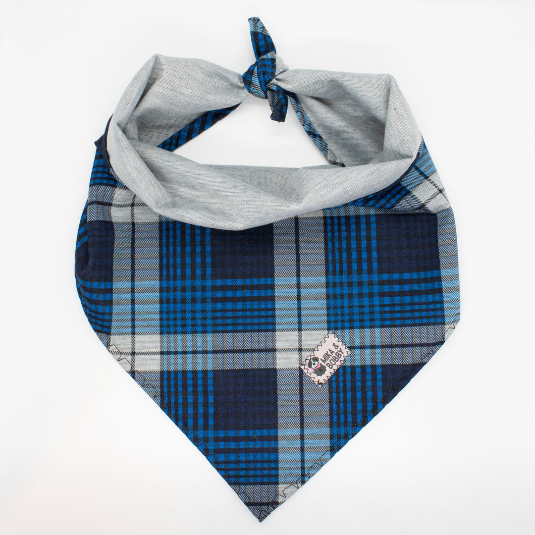 Cozy Blue Plaid