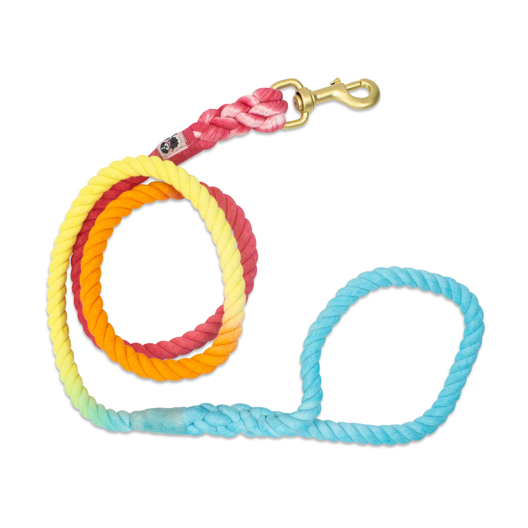 Colorful Leash