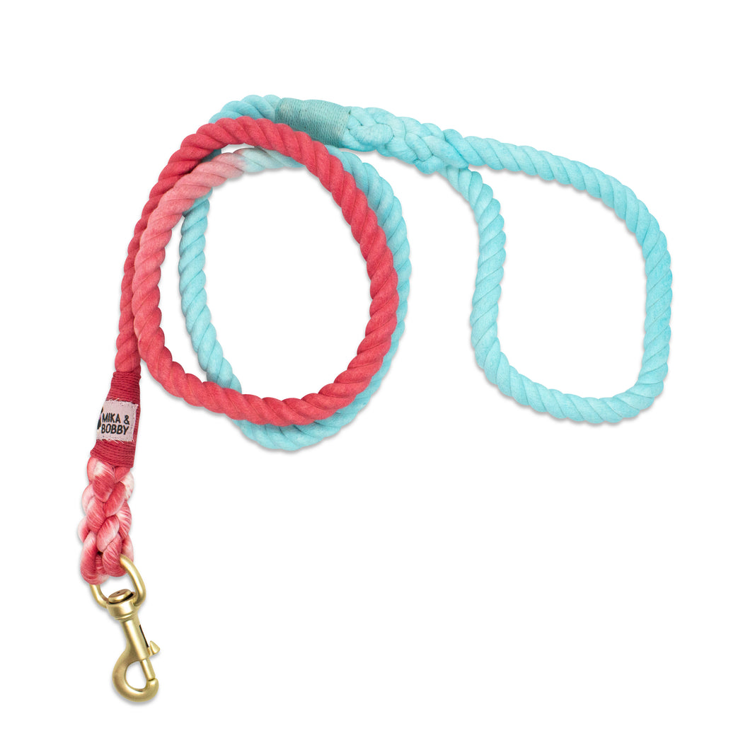 Red & Blue Leash