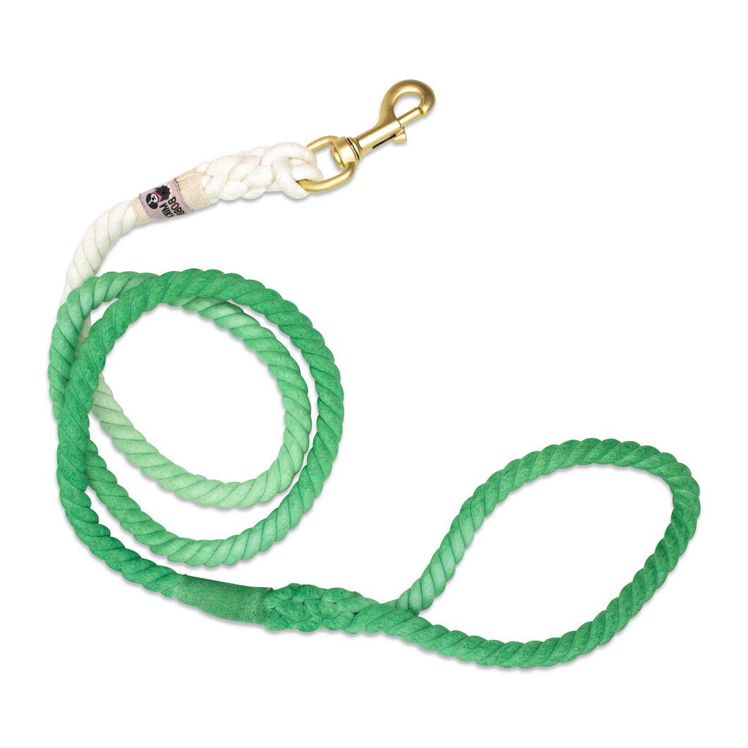 Green and White Leash